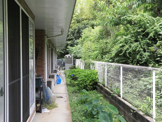緑に囲まれた建物の廊下