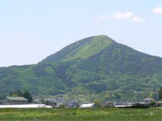 緑豊かな山と街並み