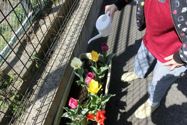 花に水をやる人