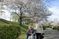 桜の下で笑顔の介助者と入居者