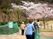 桜の咲く庭