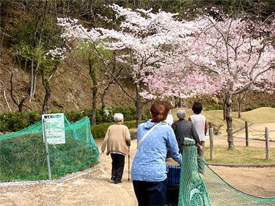 桜の咲く庭