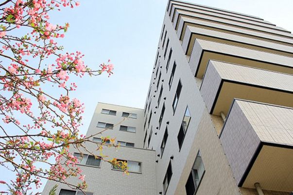 桜と建物の外観