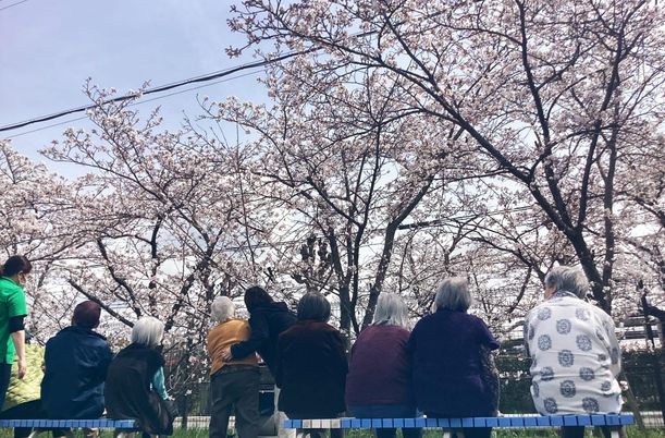 桜を楽しむ人々の庭  