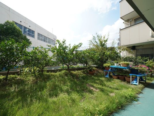 緑豊かな施設の中庭