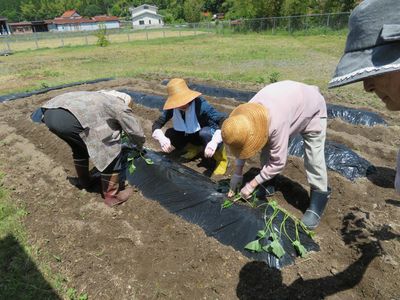 農作業に励む人々