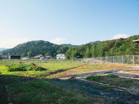 緑豊かな中庭