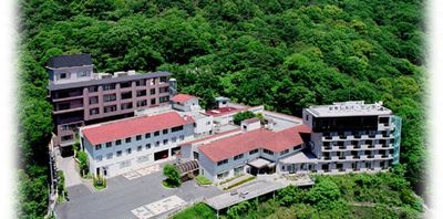 緑に囲まれた建物の外観