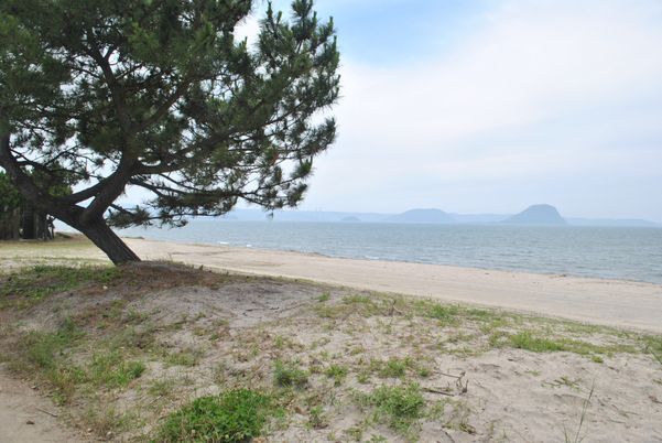 ゆったりとした海辺の景色