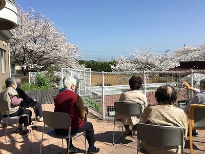 桜が満開の屋外テラス