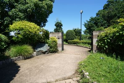 緑豊かな中庭