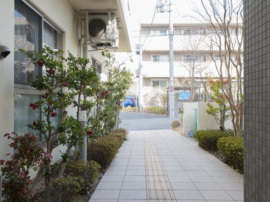 緑豊かな中庭の通路
