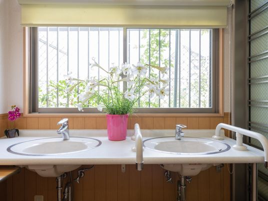 明るい洗面台と窓の花