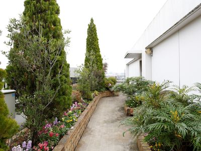緑豊かな植栽の中庭