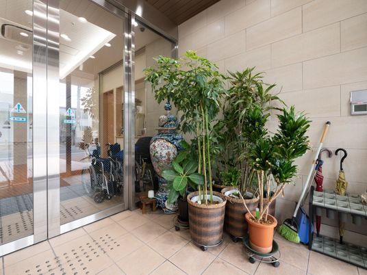 エントランスの植物と車椅子
