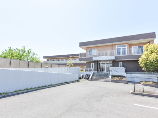 木々に囲まれた明るい建物