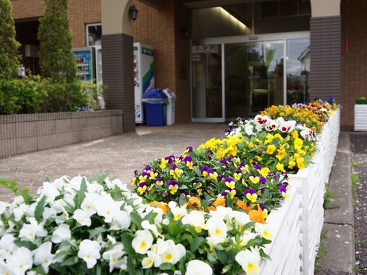 エントランスの花壇