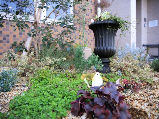 植物に囲まれた中庭風景