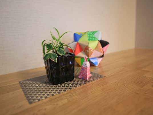 折り紙と観葉植物のアレンジ