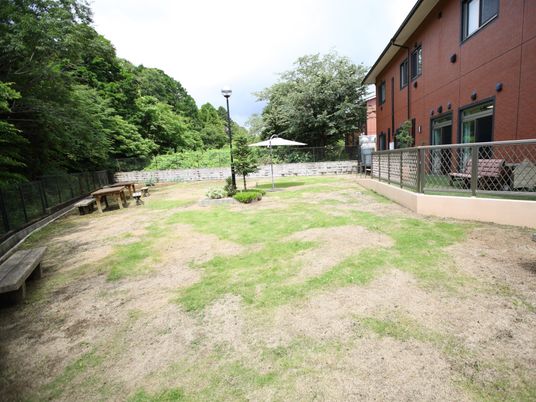 緑に囲まれた庭