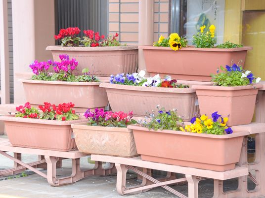 色とりどりの花が咲く中庭