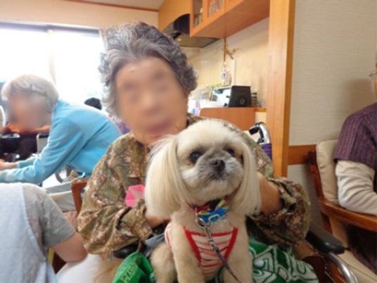 利用者と犬の和やかシーン