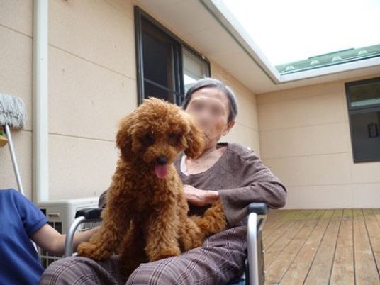 車椅子と犬の屋外ひと時