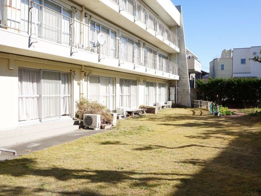  日差しの中の明るい庭  