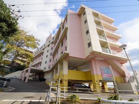 ピンク色の多階建て外観