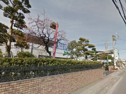 緑豊かな外観の建物