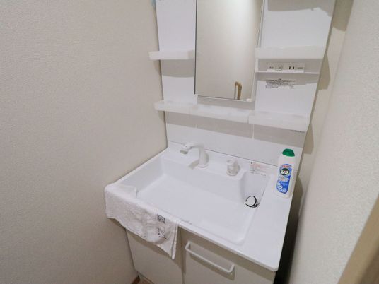 整理された洗面所