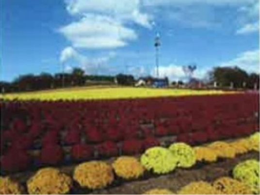 カラフルな花壇と広場