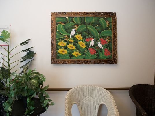 壁面の緑の絵と植物