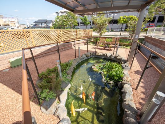 和風の庭と鯉の池