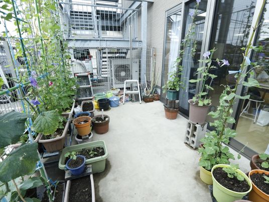 植物に囲まれた中庭
