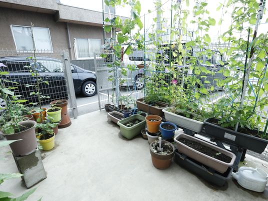 植物が並ぶ開放的な庭