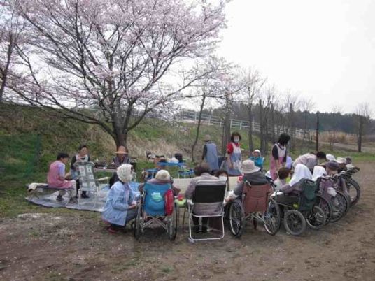 桜木の下のハンビング