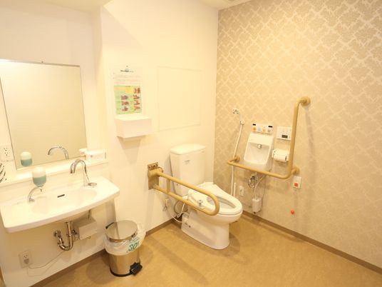 清潔なトイレの様子