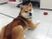 和室にいる柴犬