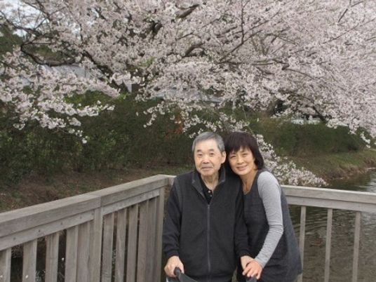 桜と老人と女性