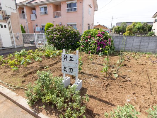 花と緑のある中庭