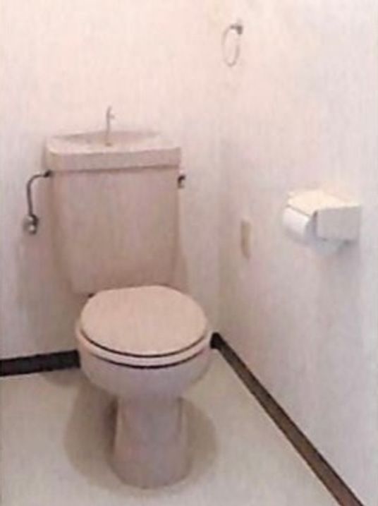 清潔なトイレの様子
