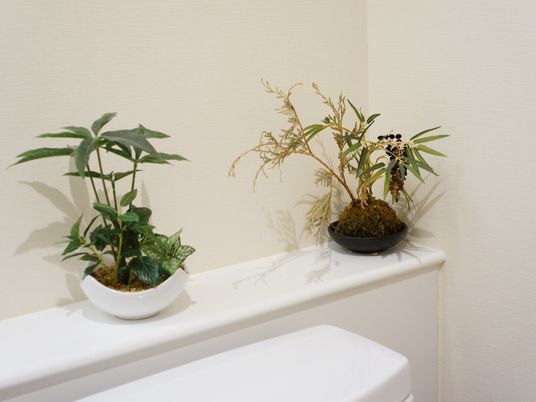 観葉植物が置かれた廊下