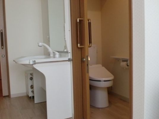 清潔なトイレと洗面所