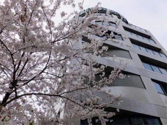 桜前のモダンな建物外観