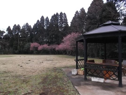 静かな中庭と休憩所