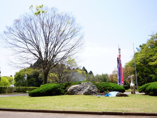 緑豊かな庭の風景