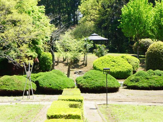 緑豊かな施設の庭
