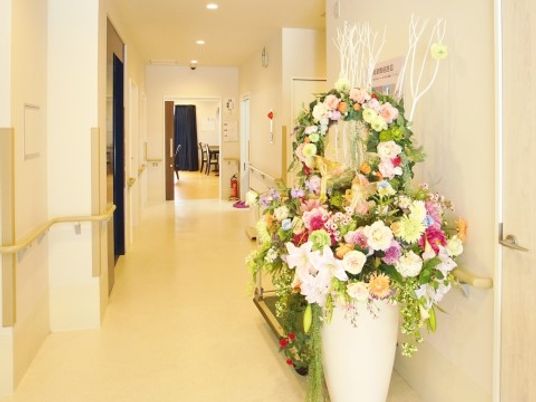 明るく清潔な廊下装飾