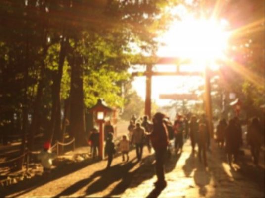 朝日が差し込む神社の参道
